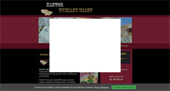 Desktop Screenshot of kantor-zamkowy.pl
